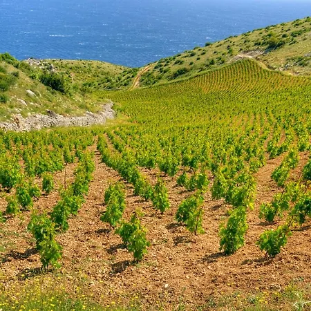 Апартаменты In With Sea Views, Terrace, Air Conditioning, Wifi 3615-5 *