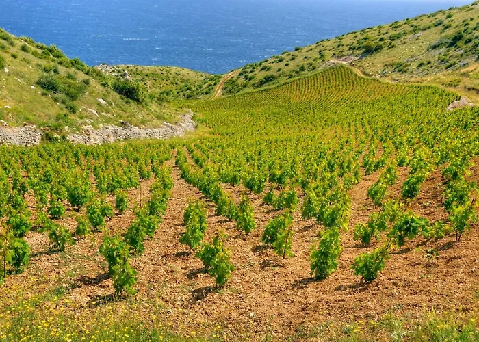 Apartment In With Sea Views, Terrace, Air Conditioning, Wifi 3615-5 *