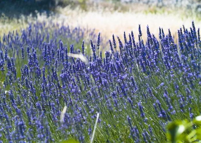 Lejlighed In With Sea Views, Terrace, Air Conditioning, Wifi 3615-5 Hvar Town